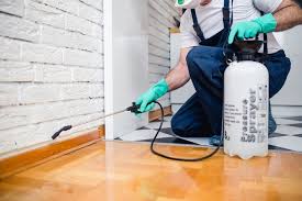 Best Pest Control for Multi-Family Homes  in La Paloma, TX